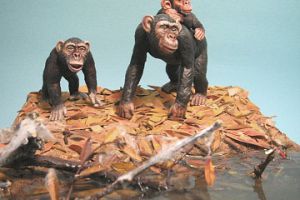  inserimento degli scimpanzé