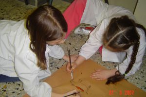 2006 - Attività didattiche a scuola