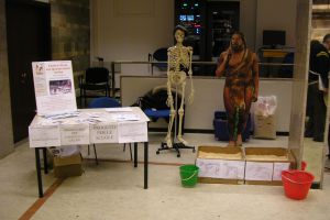 "W i Bambini": laboratorio didattico "Il gioco delle ossa" 