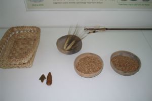 Percorso tattile: Neolitico