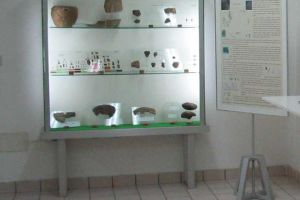  L'Olocene in Valtiberina e l'abitato dell'Età del Bronzo di Gorgo del Ciliegio: alcuni ritrovamenti di Gorgo del Ciliegio
